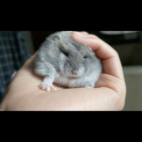 Meet your Posher, Stephanie - Picture 7 of 7